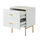 Nahuel Modern Nightstand With Two Drawers(Optional Types)