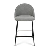 Nano 25'' Upholstered Low Back Counter Stool (Set of 2)