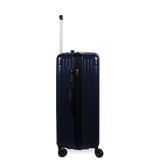 Check-In Luggage