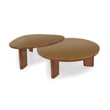 Oani 46" Walnut and Glass Triangular Coffee Table