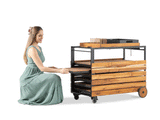 Transformer Outdoor Bar Cart - Panel Storage