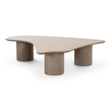 Rhema 55" Washed Ash Organic Low Coffee Table
