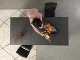 Dining Set - The Host