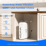 G3P800 RO System with PMT Small Water Pressure Tank