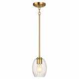 Vista Single Pendant Chain Hanging Light with Clear Glass - Satin Brass