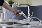 Locke Single-Handle Standard Kitchen Faucet with Side Sprayer in Polished Chrome