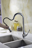 Singer Series Single-Handle Pull-Down Sprayer Kitchen Faucet