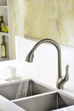Accent Series Single-Handle Pull-Down Sprayer Kitchen Faucet in Brushed Nickel