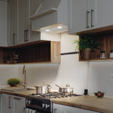 CIARRA 20 Inch Stainless Steel Range Hood Insert, Built-In Under Cabinet Design CAS52913E-N-OW
