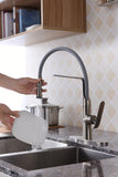 Accent Single Handle Pull-Down Sprayer Kitchen Faucet