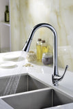 Singer Series Single-Handle Pull-Down Sprayer Kitchen Faucet