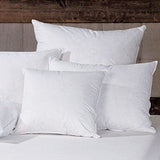 Feather Oblong Pillow Insert