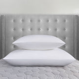 Feather & Down Pillow Insert