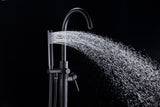 Coral Series 2-Handle Freestanding Tub Faucet with 60 in. Euro-Grip Hand Sprayer