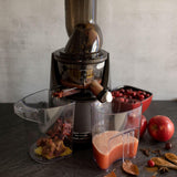 Whole Slow Juicer EVO820