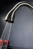 Accent Series Single-Handle Pull-Down Sprayer Kitchen Faucet in Brushed Nickel