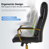 Bradford Ergonomic Office Chair with Lumbar Support