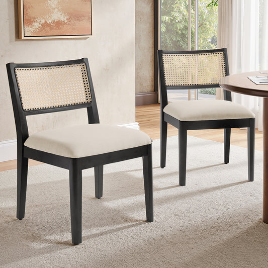 Aram Dining Chairs (Set of 2)