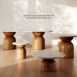 Cynthia Concrete Indoor/Outdoor Side Table