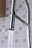 Apollo Single Handle Pull-Down Sprayer Kitchen Faucet in Polished Chrome