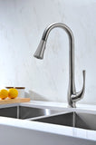 Singer Series Single-Handle Pull-Down Sprayer Kitchen Faucet