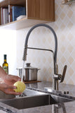 Accent Single Handle Pull-Down Sprayer Kitchen Faucet
