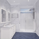 Halberd Series 47 to 48 in. x 72 in. Sliding Framed Shower Door with Tsunami Guard Tempered Glass