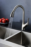 Accent Series Single-Handle Pull-Down Sprayer Kitchen Faucet in Brushed Nickel
