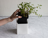 ZWILLING Ceramic Storage Box