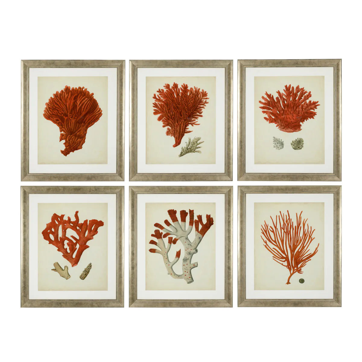 Prints Antique red corals set of 6