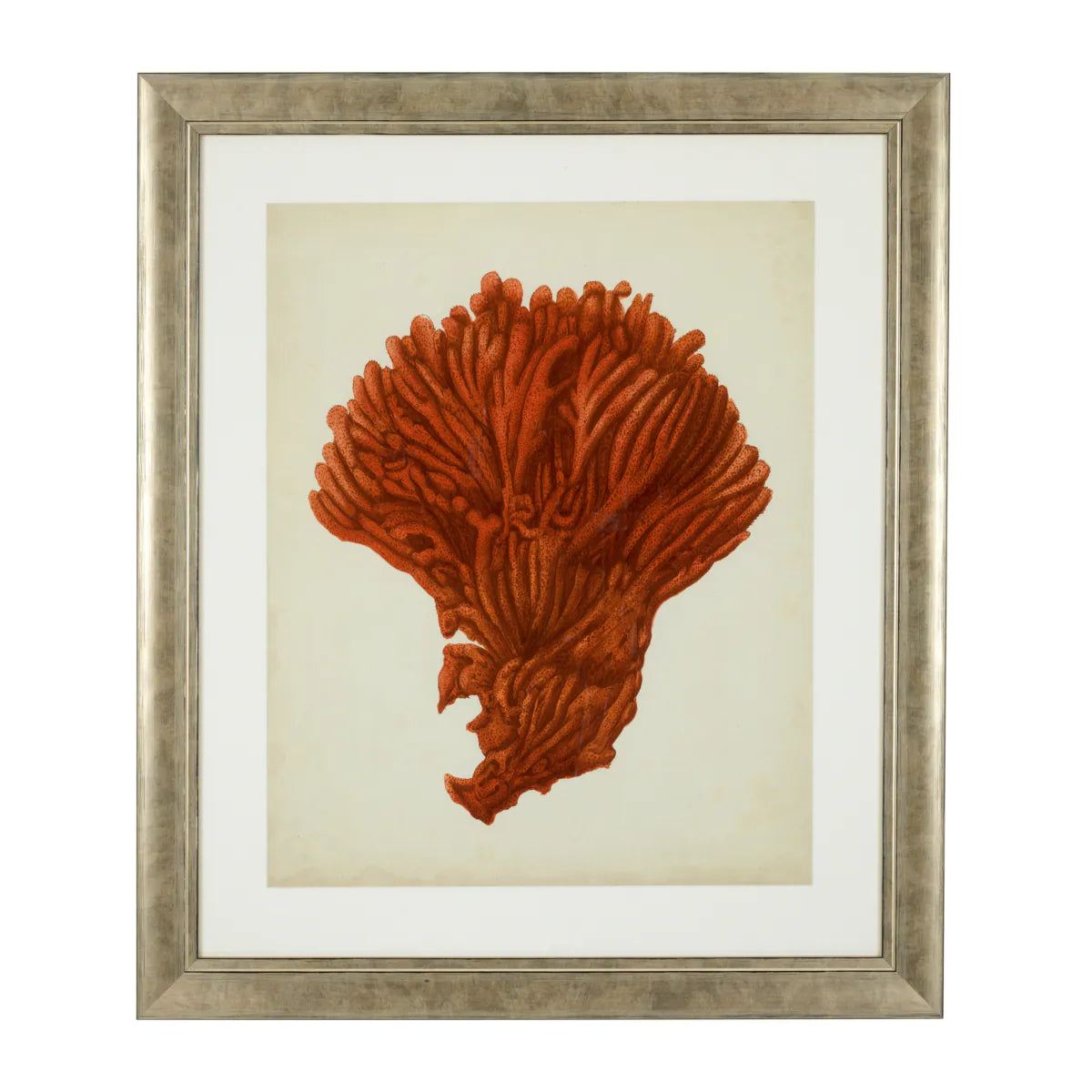 Prints Antique red corals set of 6