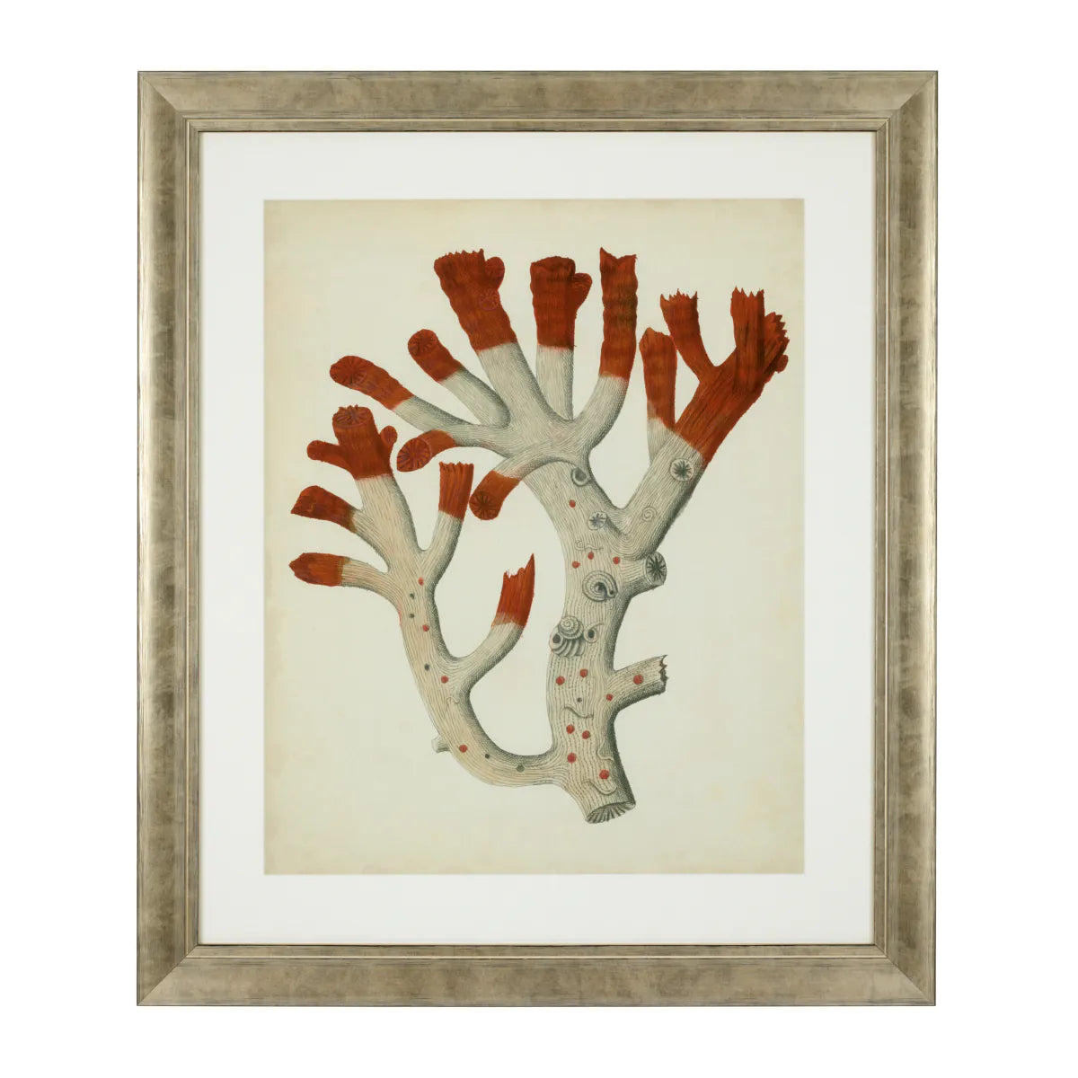 Prints Antique red corals set of 6