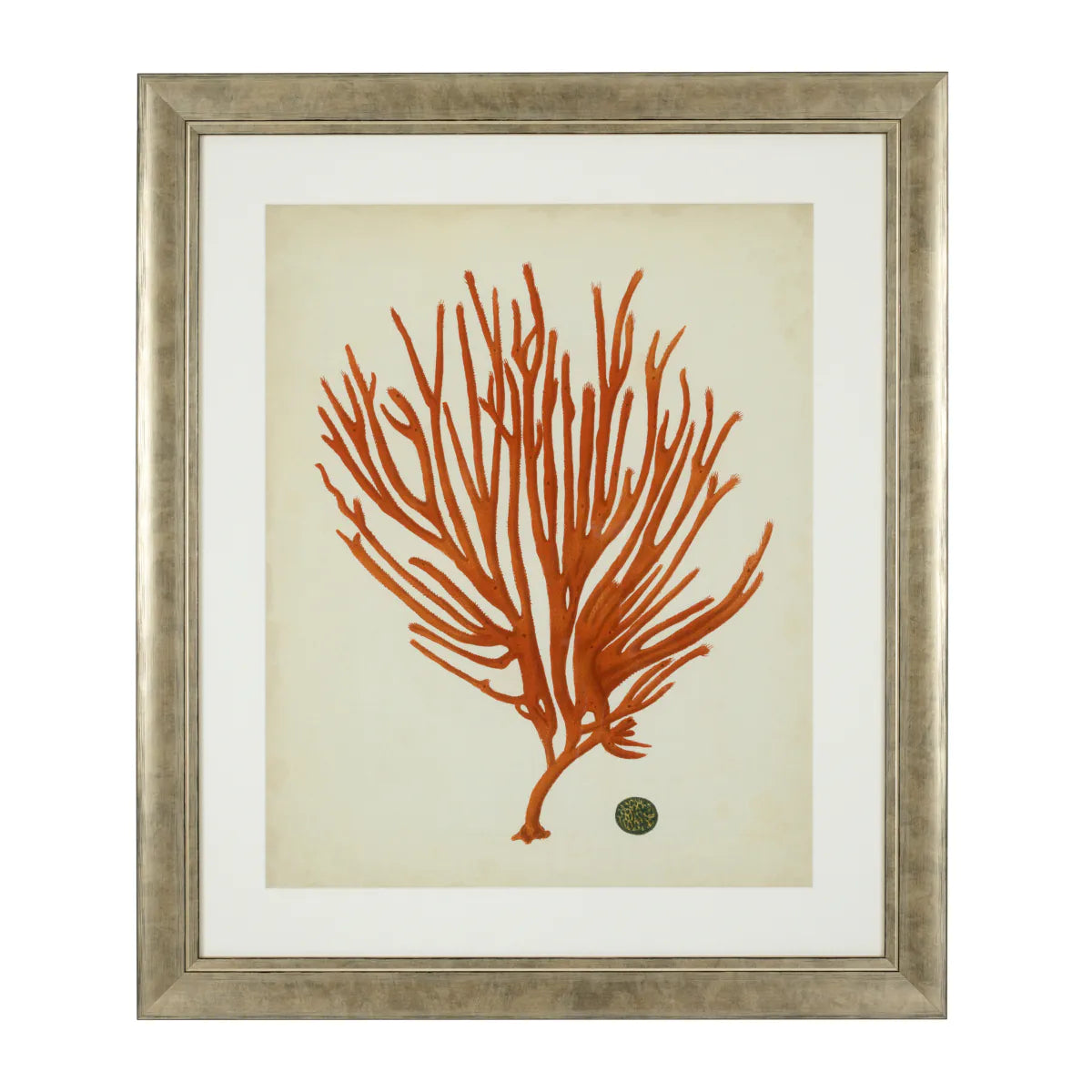 Prints Antique red corals set of 6