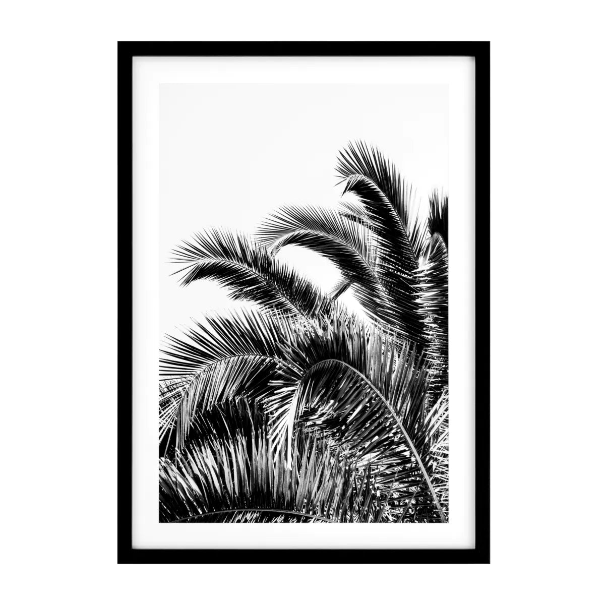 Prints Palm Leaves set of 2