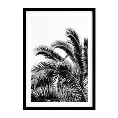 Prints Palm Leaves set of 2