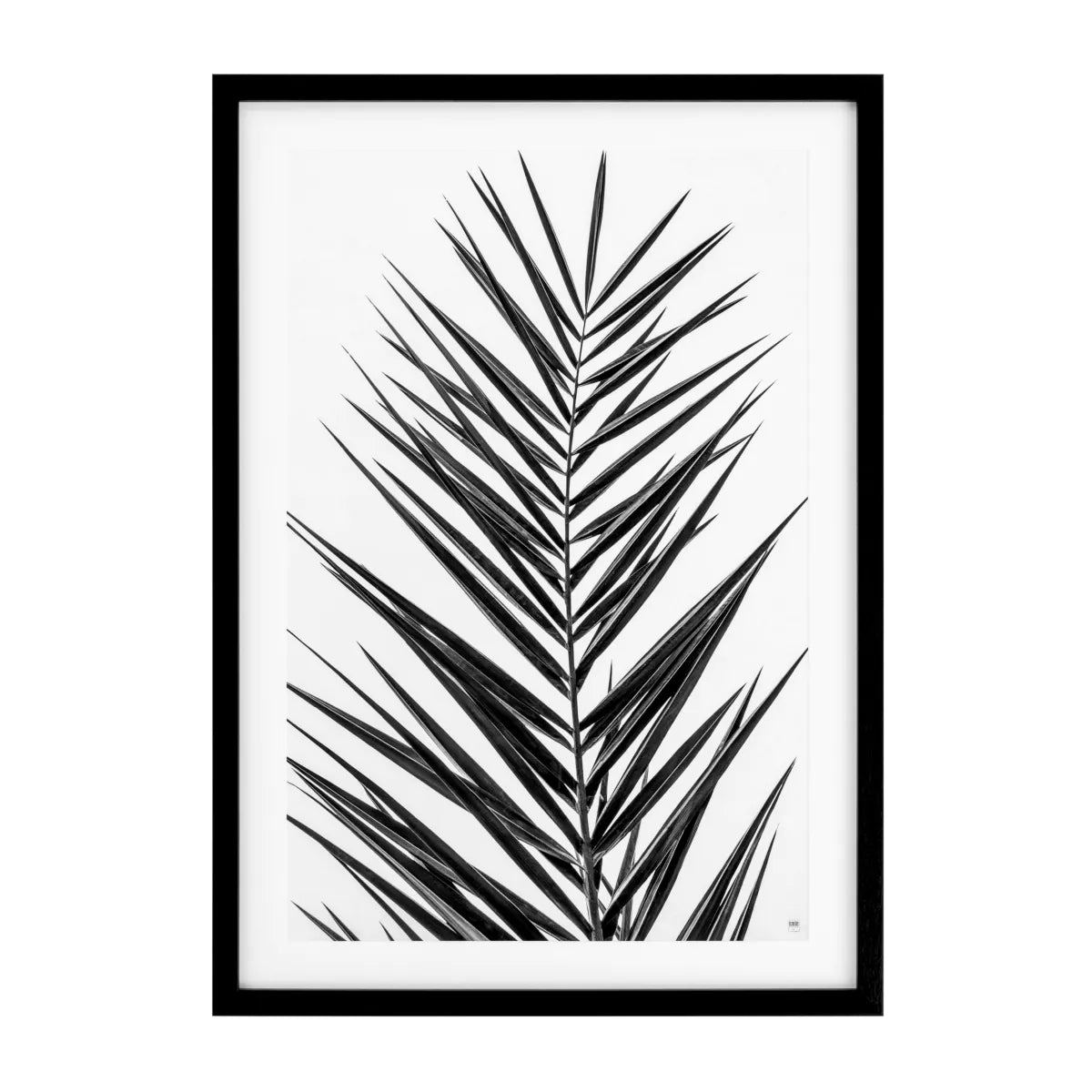 Prints Palm Leaves set of 2