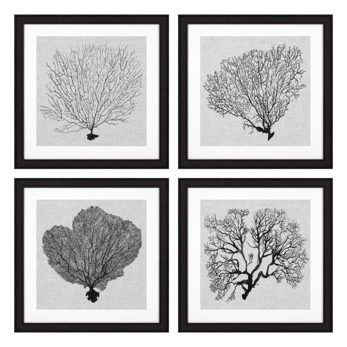 Prints Shadow Sea Fans set of 4