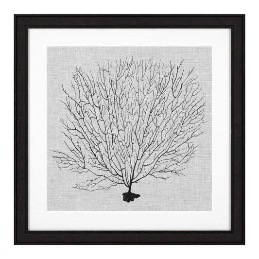 Prints Shadow Sea Fans set of 4