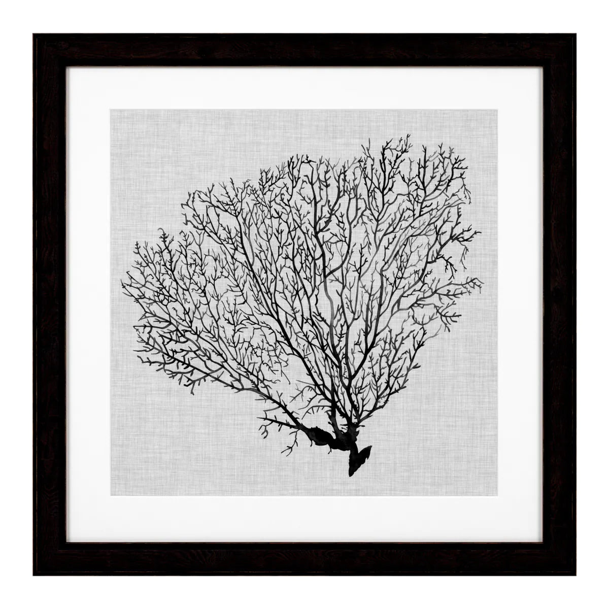 Prints Shadow Sea Fans set of 4