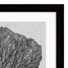 Prints Shadow Sea Fans set of 4