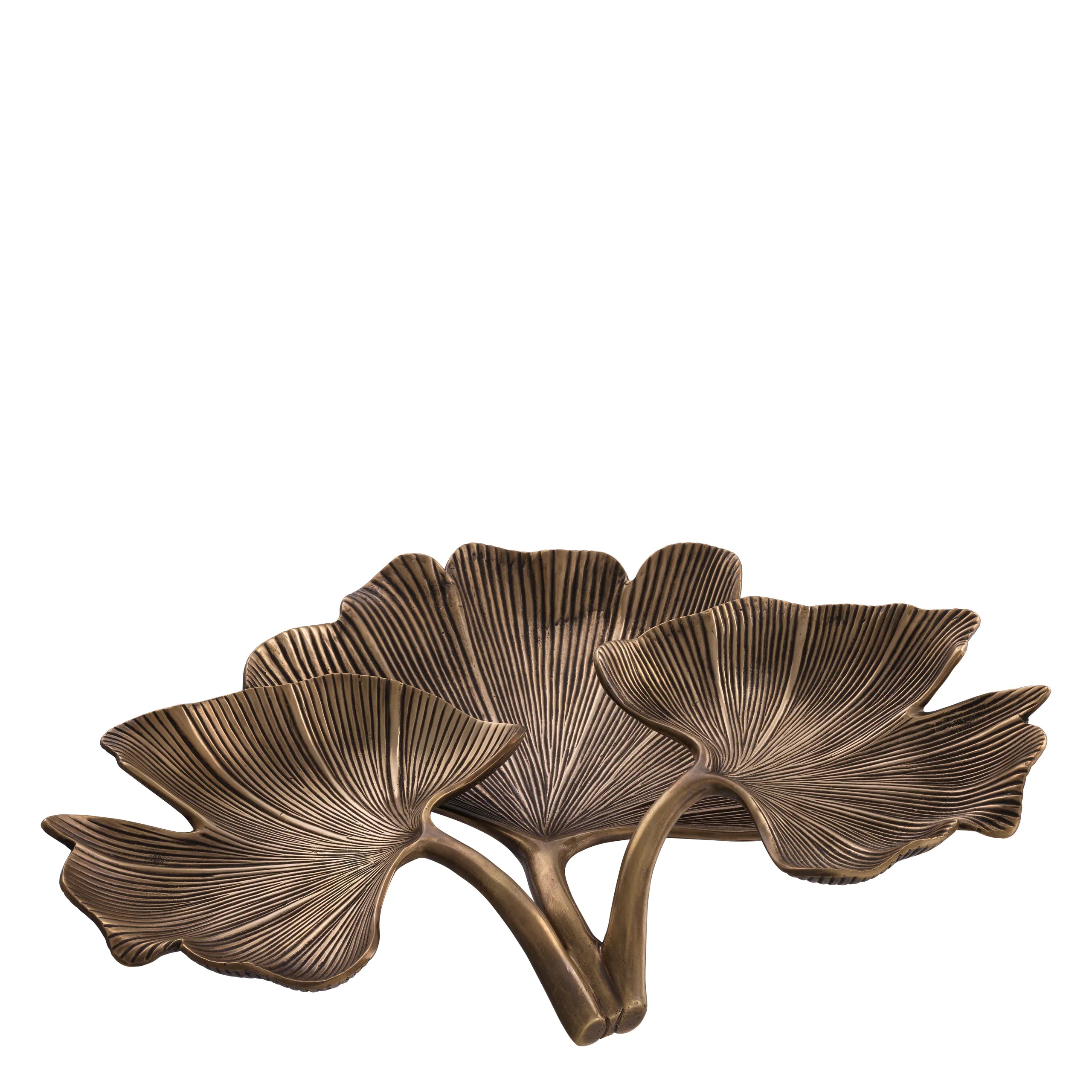 Tray Ginkgo