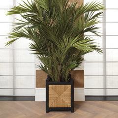 Planter Aruba