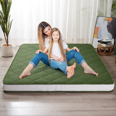 MAXYOYO Padded Japanese Floor Mattress, Green Foldable Roll Up Futon Mattress