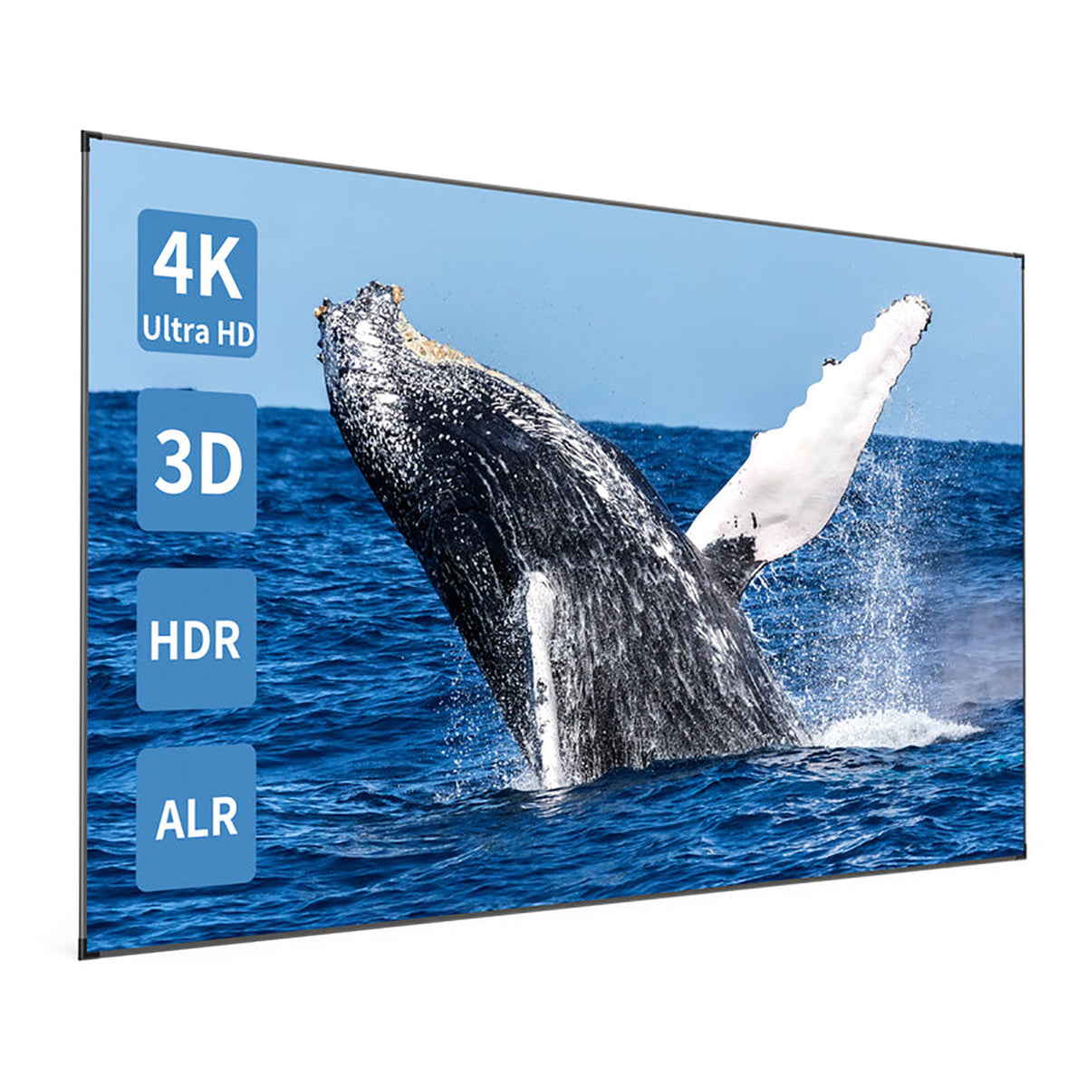 Paris Rhône 4K Ultra HD Projector Screen LTS001, Light Rejecting Fixed Screen