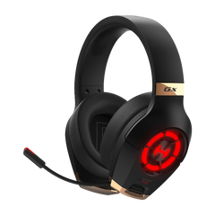 Wired Headphones