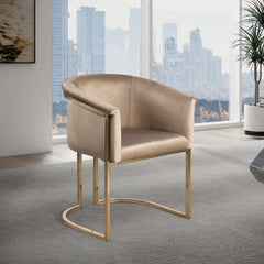 Tierra Velvet Dining Chair