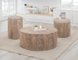 Balam End Table - Handcrafted Mango & Teak Wood