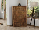 5 Drawer Chest - Handcrafted Mango & Teak Wood | Balam
