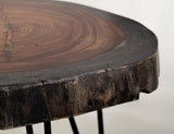 Live Edge End Table - Parota Wood Epoxy Collection