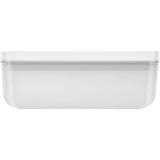 ZWILLING Fresh & Save Fridge Airtight Food Storage Container